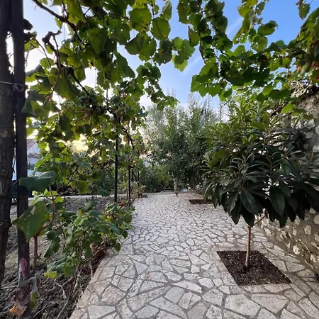 Guest house Pjetri House