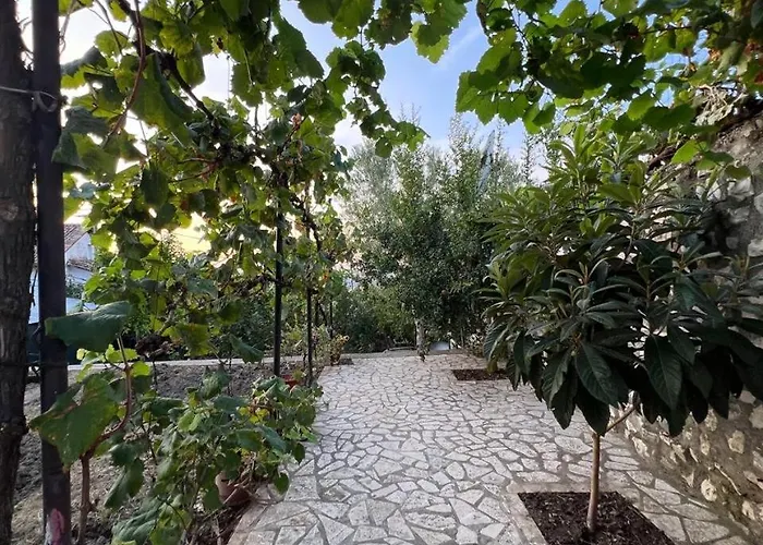 招待所 Pjetri House